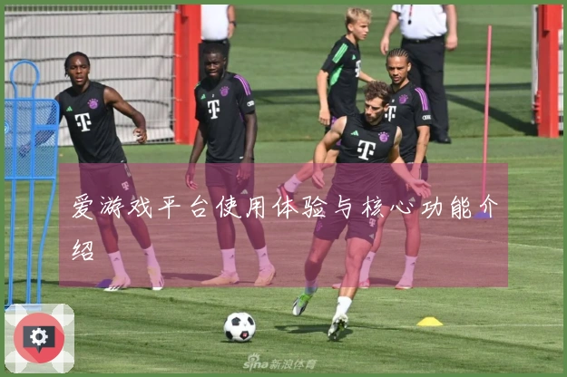 爱游戏平台使用体验与核心功能介绍